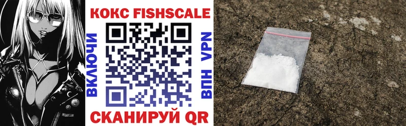 Купить закладки  Чаплыгин  Cocaine FishScale 