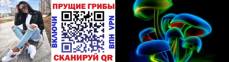 Купить где  Чаплыгин  Псилоцибиновые грибы Psilocybe 